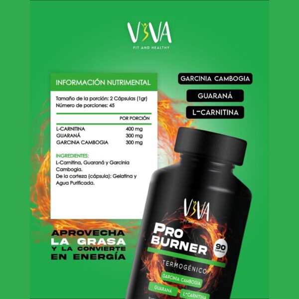 PRO BURNER TERMOGÉNICO - Imagen 2